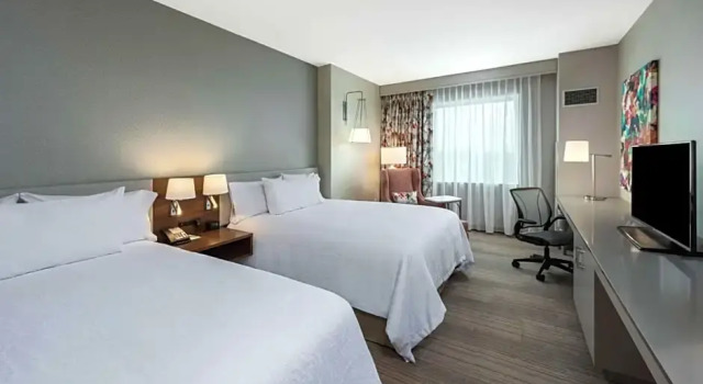 Четырёхместный номер Premium Hilton Garden Inn Miami Dolphin Mall