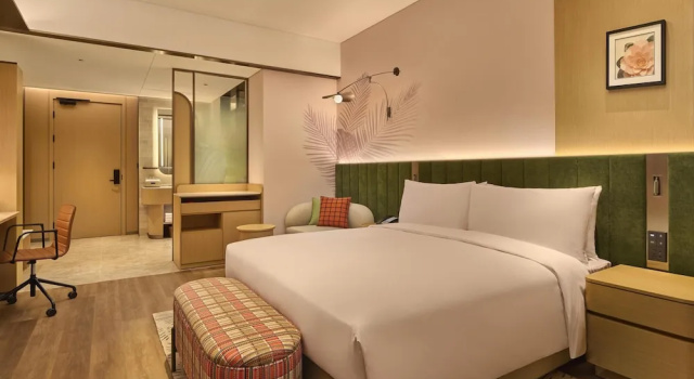 Двухместный номер Standard Hilton Garden Inn Chongqing Central Park
