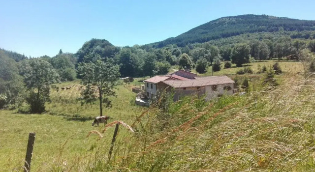 Номер Standard Le Moulin de la Fortie, Gîtes