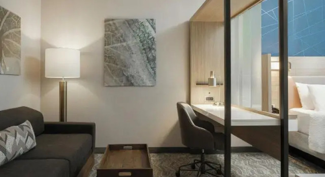 Люкс SpringHill Suites by Marriott Lexington Frankfort