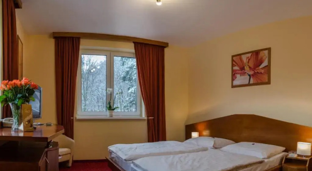 Двухместный номер Deluxe Hotel West