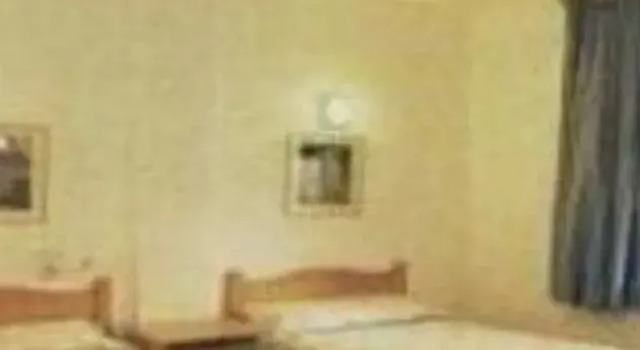 Palm Garden