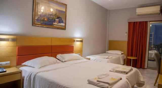 Трёхместный номер Standard Hotel Erika