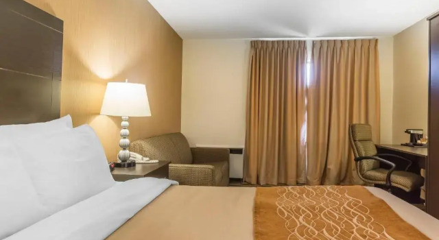 Номер Standard Quality Inn
