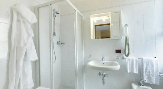 Двухместный номер Standard Hotel Terme Vena DOro