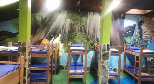 Кровать в общем номере Albergue Matias