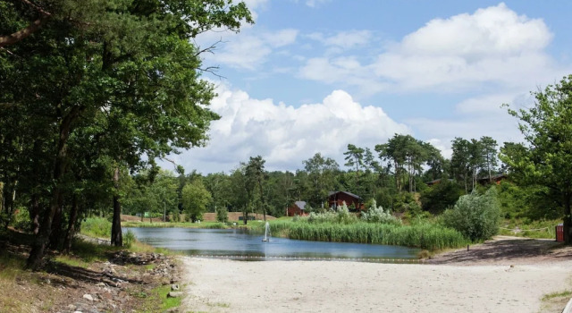 Well Furnished Chalet with Garden near Brunssummerheide, Prenota Chalet Cottage a Parkstad, Cottage