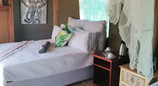 Номер Standard Shanatsi Safari Lodge