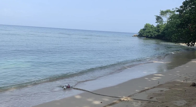 Номер Standard Idyllic Duplex with Ocean