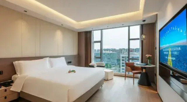 Люкс Executive 厦门伟尔酒店Xiamen Well Hotel