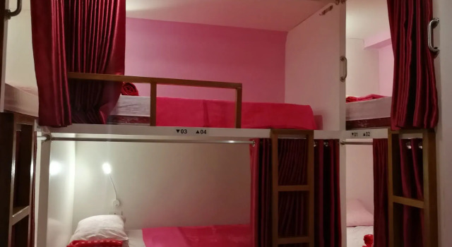 Sleepy Raccoon Hostel