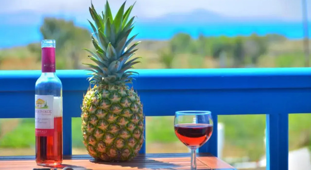Студия Superior с видом на море Summer Memories Studios