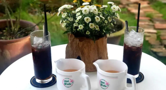 Апартаменты Little Dalat Coffee and Homestay