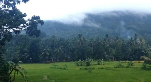 Sinharaja Green View