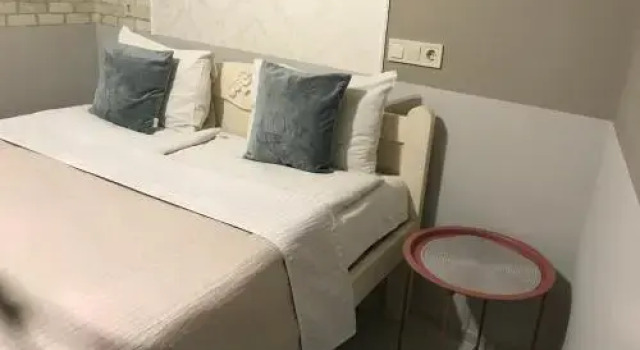 Lovely Flat in Central Lviv