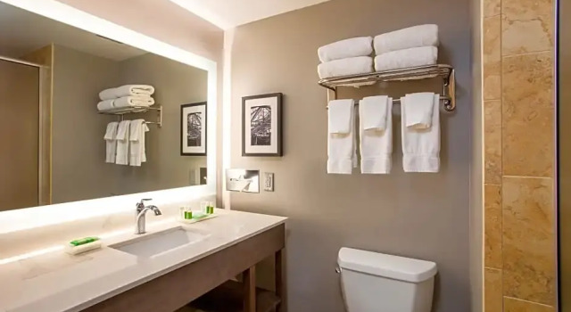 Четырёхместный люкс c 1 комнатой Holiday Inn Valdosta Conference Center by IHG