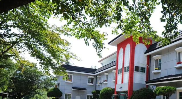 Shiny Town Pension