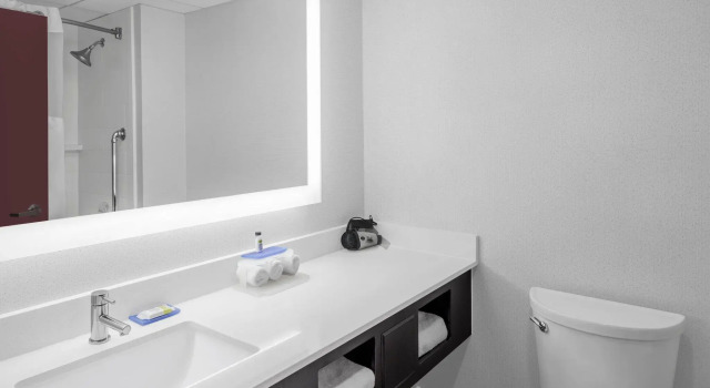 Номер Standard Holiday Inn Express & Suites Asheville SW - Outlet Ctr Area by IHG