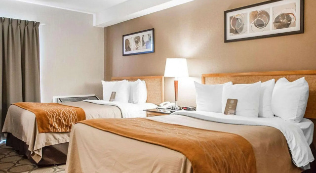 Четырёхместный номер Standard Comfort Inn Truro