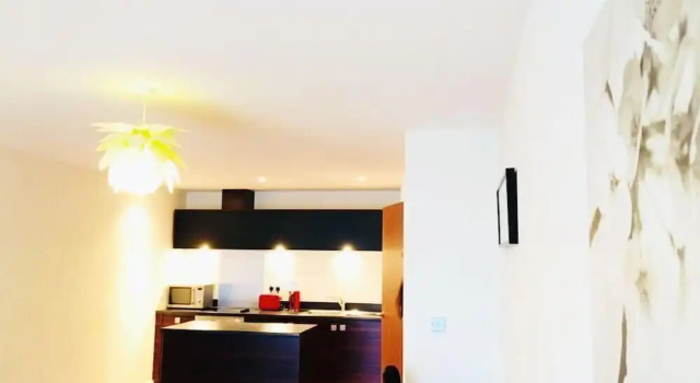 Апартаменты Birmingham Serviced Apartment- Ryland