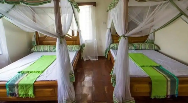 Коттедж Olive House
