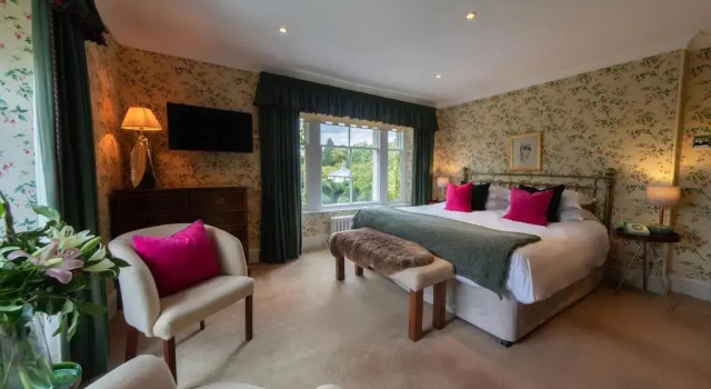 Двухместный номер Standard Burleigh Court Hotel