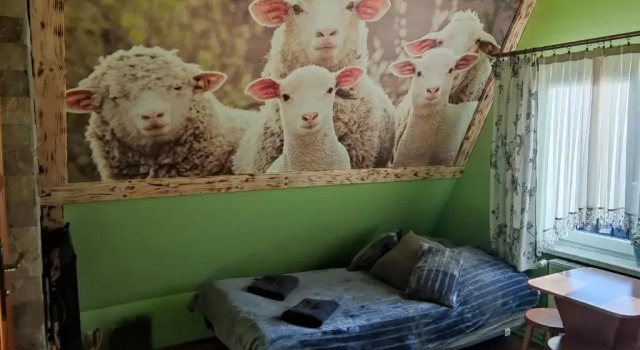 Номер Standard Pokoje i Apartamenty Regionalny Styl ul Króle 1a Zakopane