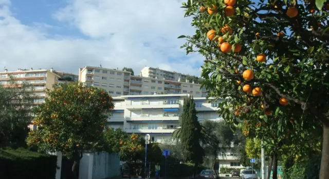 Апартаменты Neptune 5, top floor, sea view