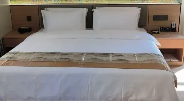 Deluxe suite Atour Hotel