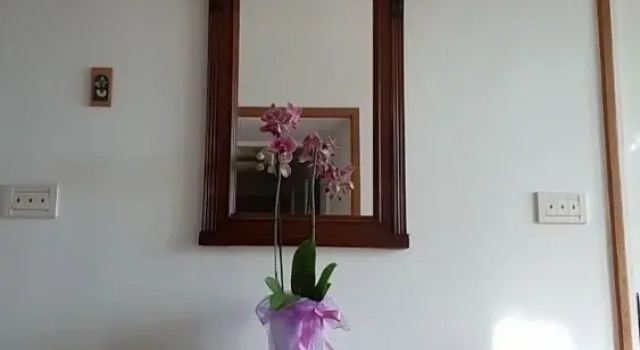 Villa Marija - Terrace - H