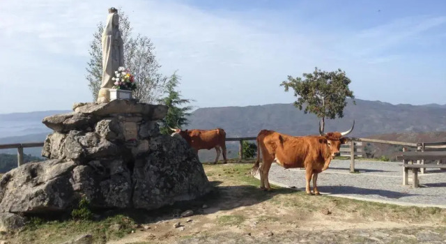 Шале c 1 комнатой Cantinho Redondo Gerês