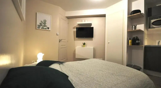 Апартаменты Studio cosy en hypercentre, quartier St Etienne