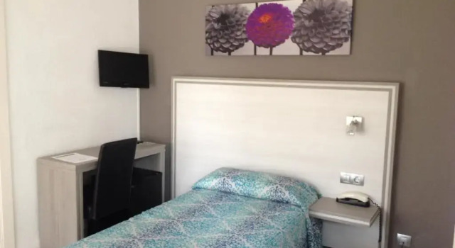 Одноместный номер Hotel Planas