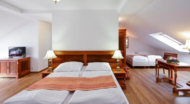 Семейный номер Standard Spa Hotel Continental