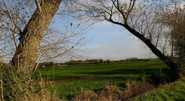 De Grote Wateringe