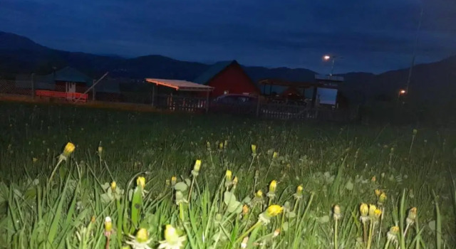 Апартаменты с 2 комнатами Eco village & resort Coric Delux bungalow