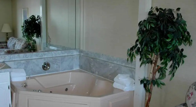 Люкс Standard Lockport Inn and Suites