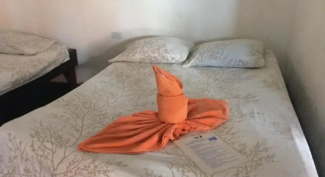 Номер Standard Cabinas Balcon de Mar Tortuguero