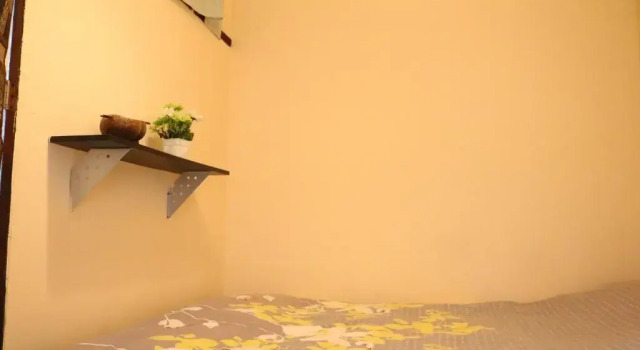Eco House