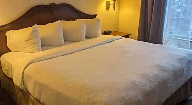 Номер Standard Wingate Suites By Wyndham Mansfield Ontario