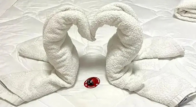 Номер Standard Hotel Vernel