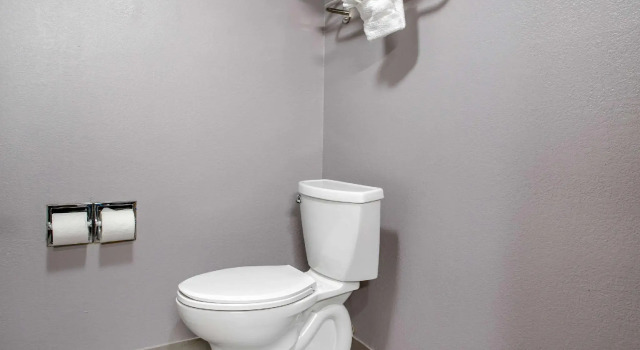 Двухместный люкс Quality Inn & Suites Bedford West