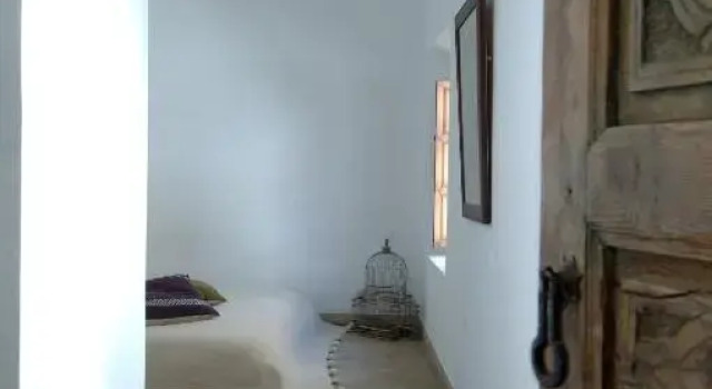 Camera Standard Riad UP