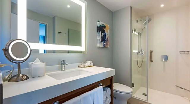 Двухместный люкс Premium c 1 комнатой oceanfront Embassy Suites By Hilton Aruba Beach Resort