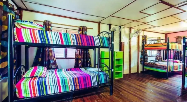 Кровать в общем номере Bananas Bungalows