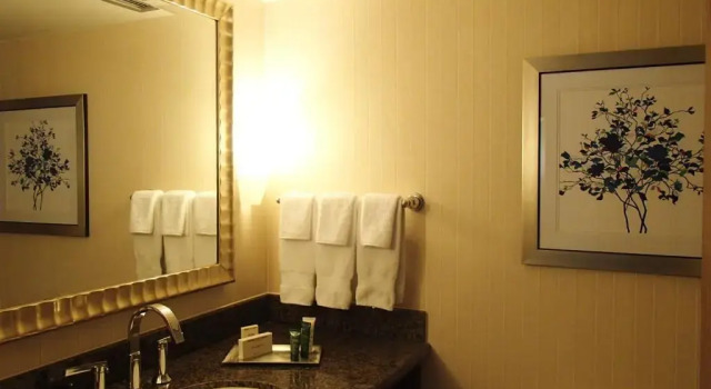 Четырёхместный номер Deluxe Hilton Arlington