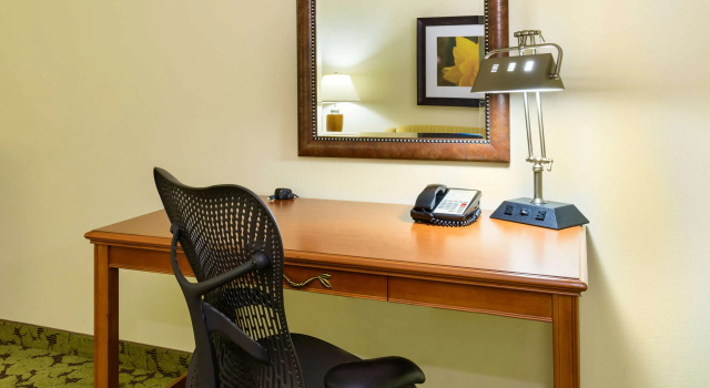 Hilton Garden Inn Gainesville, Rezerwuj Hotel Hotele 3-gwiazdkowe w Gainesville, 3*
