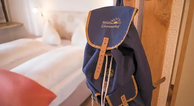 Номер Standard Hotel Eckartauerhof
