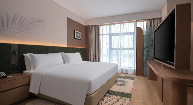 Двухместный номер Deluxe Hilton Garden Inn Jingzhou Shashi