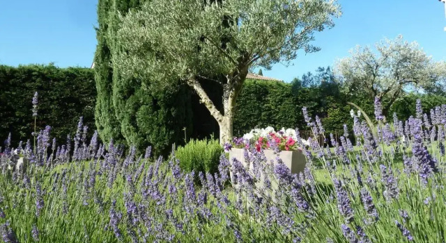 Коттедж с 2 комнатами Gîte de l'Olivier